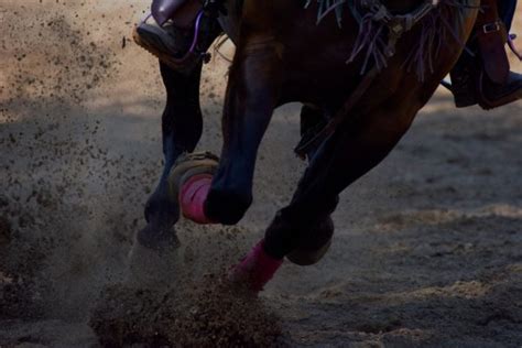 new mexico horse racing betting|New Mexico Best Horse Betting Sites & Offers 2024 .